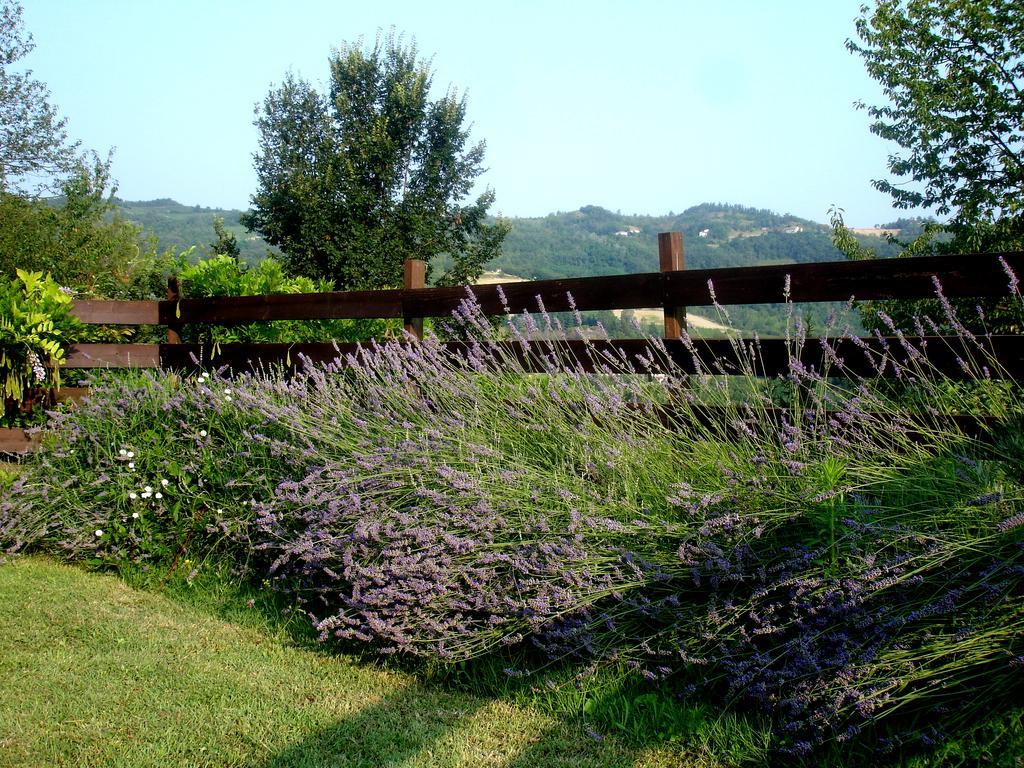 Cascina Ciosse B&B Grognardo Kamer foto