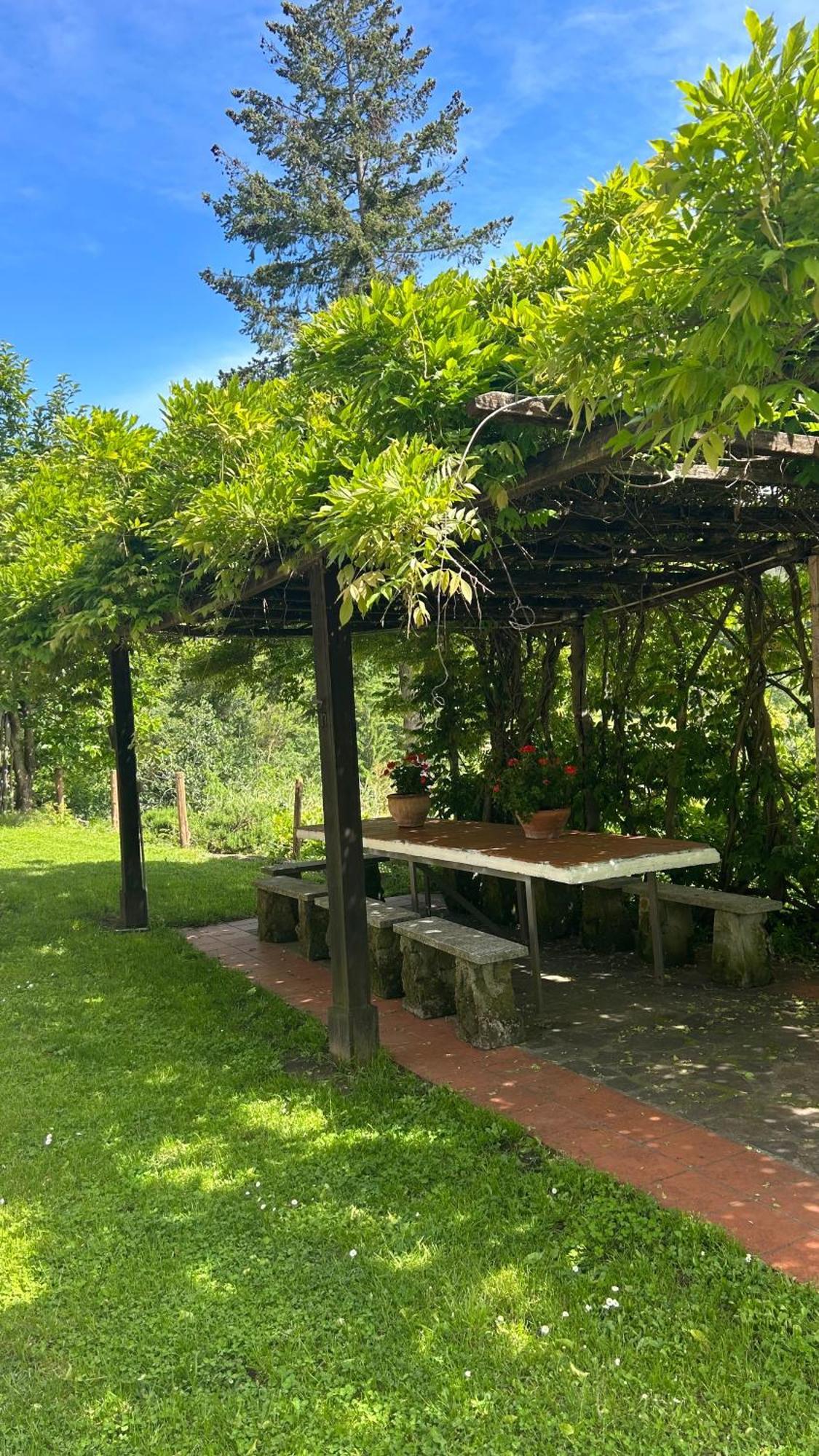 Cascina Ciosse B&B Grognardo Buitenkant foto